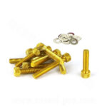 Kit viti dorate carter, viteria dorata carter, booster color oro, viti color oro booster