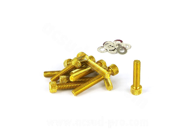 Kit viti dorate carter, viteria dorata carter, booster color oro, viti color oro booster