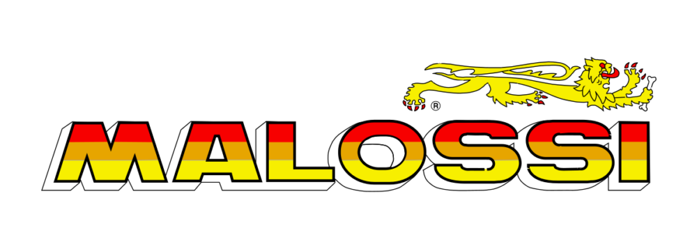 117568 GUARNIZIONI MALOSSI PER GRUPPO TERMICO D.40 - 47