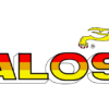 117568 GUARNIZIONI MALOSSI PER GRUPPO TERMICO D.40 - 47
