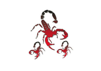 Scorpione cm 10 x 12 Scorpione cm 10 x 12