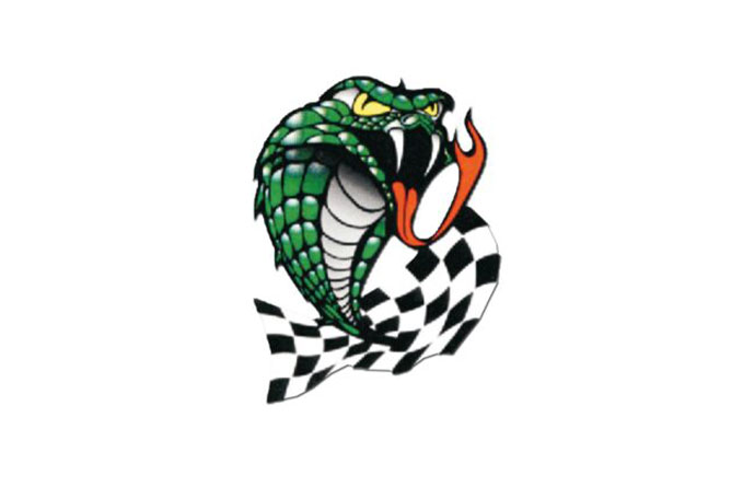 Cobra scacchi cm 10 x 12