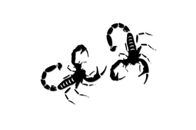 Scorpione nero - 150 mm - 2 pz.